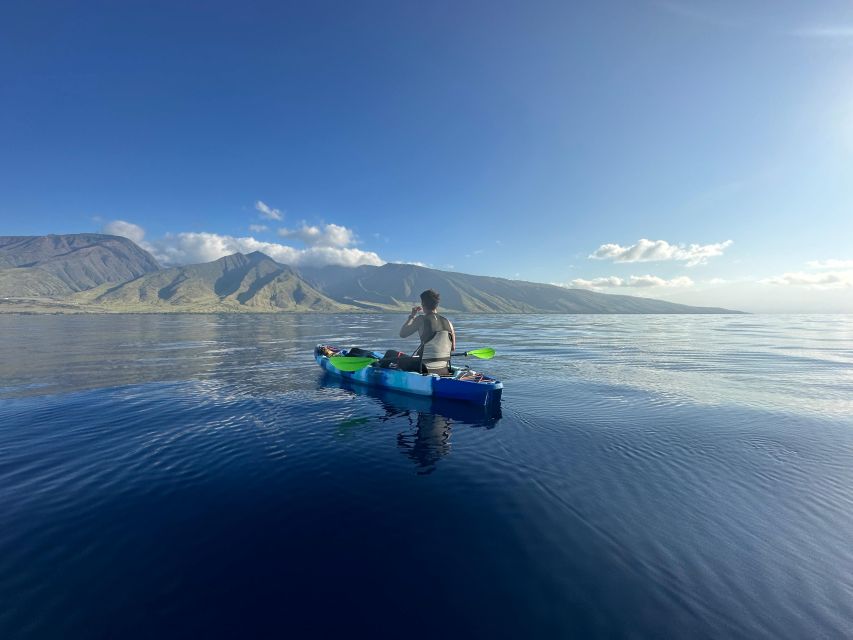 Kayak, Whale Watch And Snorkel At Turtle Town - Snorkeling near shore with Hawaiian green sea turtles