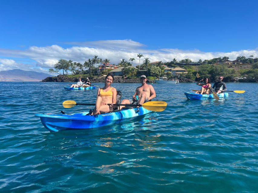 Kayak, Whale Watch And Snorkel At Turtle Town - Why the small group changes the experience