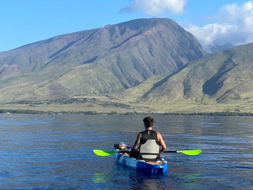 Kayak, Whale Watch And Snorkel At Turtle Town - The equipment is a serious part of the value