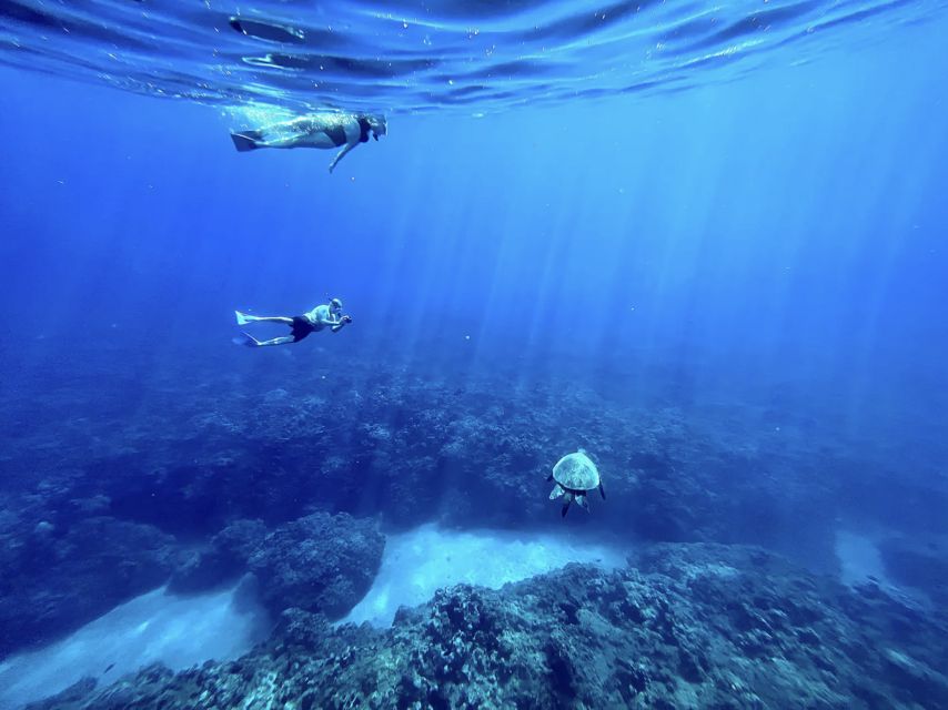 Kayak, Whale Watch And Snorkel At Turtle Town - Who will enjoy this Maui water outing