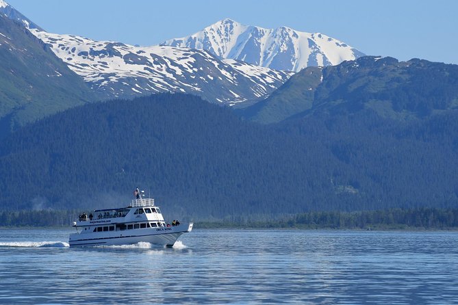 Kenai Fjords Orca Quest Cruise - Kenai Fjords National Park and the search for orcas