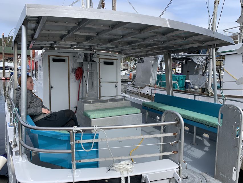 Ketchikan: Marine Wildlife and Whale Watching Boat Tour - My call on booking this Ketchikan whale tour