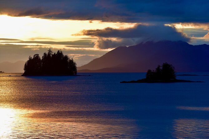 Ketchikan Ultimate Whale Watching, Wildlife, & Wilderness Dining - The eagle-feeding portion