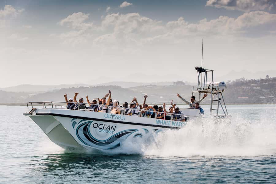 Knysna: Close Encounter Whale Watching Tour by Boat - How the whale search works