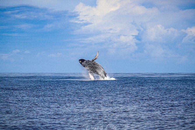 Kona Deluxe Catamaran Whale Watch - Drinks, shade, and the relaxed onboard rhythm