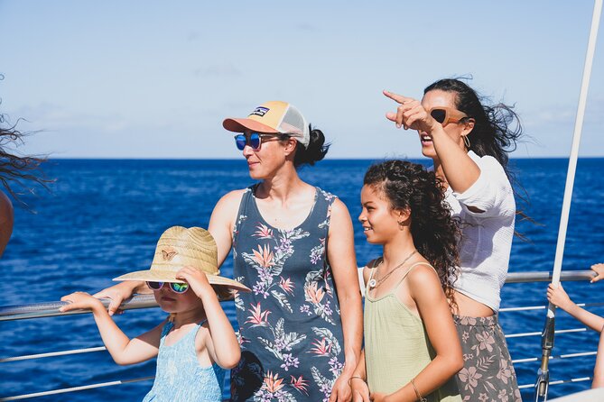 Kona Deluxe Catamaran Whale Watch - How the whale guarantee really works