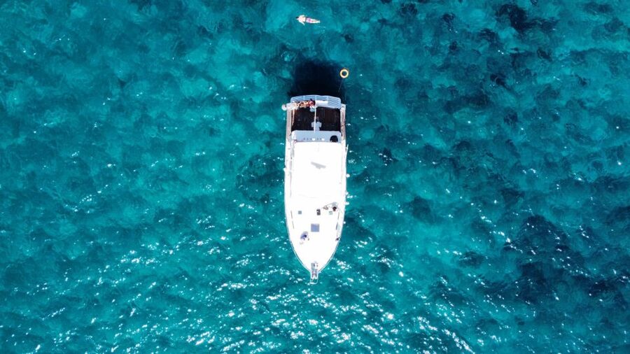 Las Galletas: Whale & Dolphin Tour with Local Skipper - What to bring and how to prepare