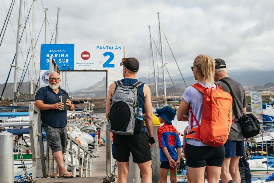 Las Galletas: Whale & Dolphin Tour with Local Skipper - A swim stop in clear coastal water