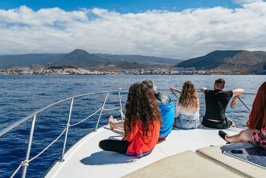 Las Galletas: Whale & Dolphin Tour with Local Skipper - Homemade lunch with a local touch