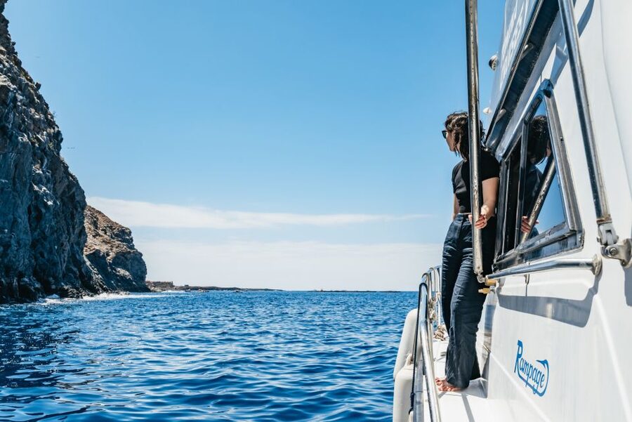 Las Galletas: Whale & Dolphin Tour with Local Skipper - Returning past Punta de Rasca