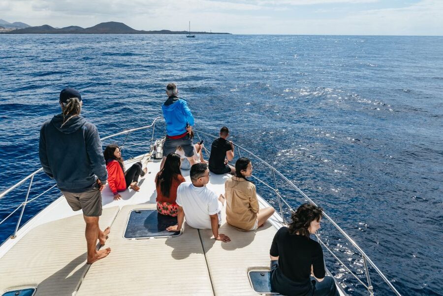 Las Galletas: Whale & Dolphin Tour with Local Skipper - How to handle seasickness