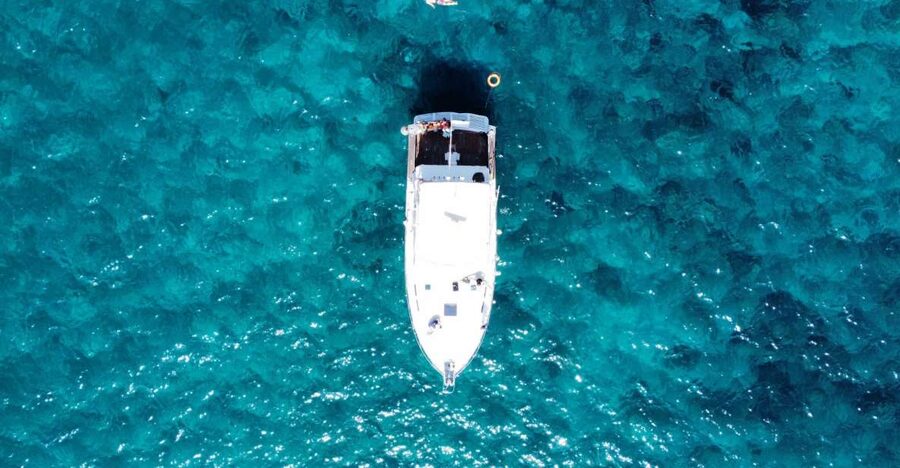Las Galletas: Whale & Dolphin Tour with Local Skipper - Who will enjoy this trip most?