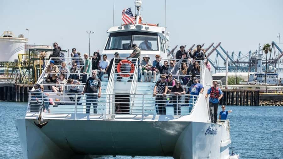 Long Beach: Whale and Dolphin Watching Cruise - Weather, motion, and the best way to prepare