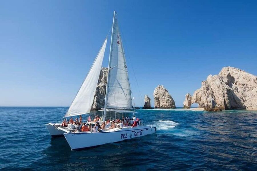Los Cabos: Catamaran Whale Watching Cruise - Key points to know before you book