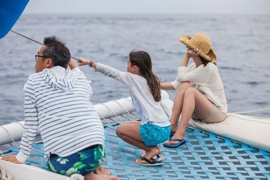 Los Cabos: Catamaran Whale Watching Cruise - Who should book this whale cruise?