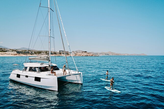 Los Cabos Seasonal Whale Watch and Snorkel Tour - Key details before you book