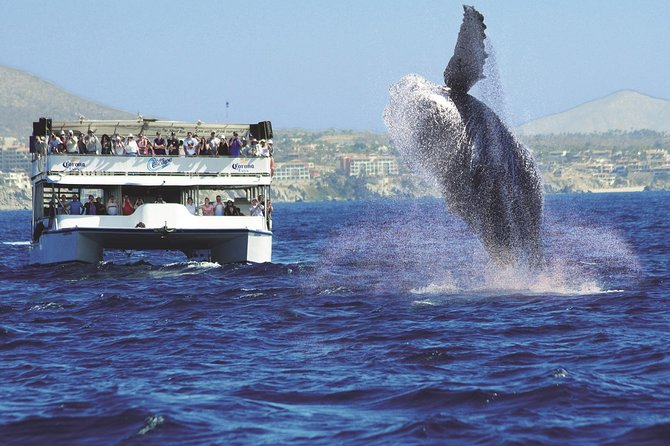 Los Cabos Whale Watching Cruise Including Breakfast - The double-decker catamaran and the crowd question