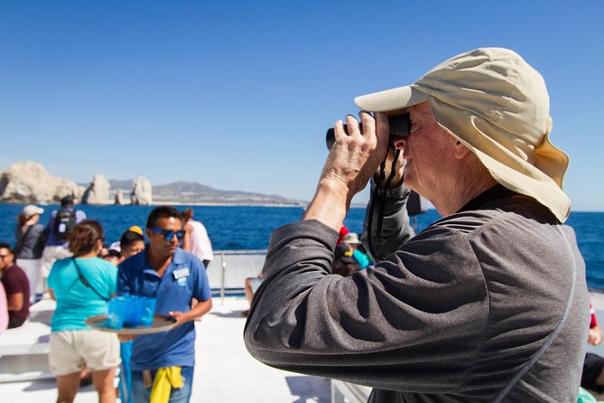 Los Cabos Whale Watching Cruise Including Breakfast - How the two-hour route unfolds