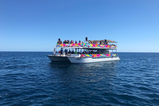 Los Cabos Whale Watching Cruise Including Breakfast - Is $99 a fair price?
