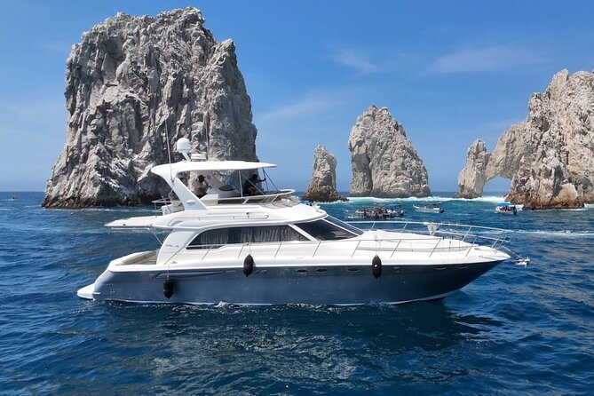 Los Cabos Whale Watching & Snorkel Adventure with Food & Drinks - The main risk: vessel changes