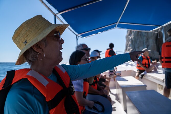Los Cabos Whale Watching (Transportation and Pictures Included) - The best time to go