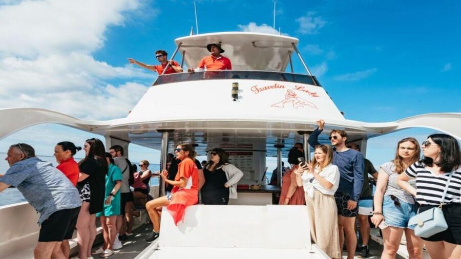 Los Cristianos: Eco Yacht Whale Watching Tour at Sunset - Finding Travelin Lady at Los Cristianos port