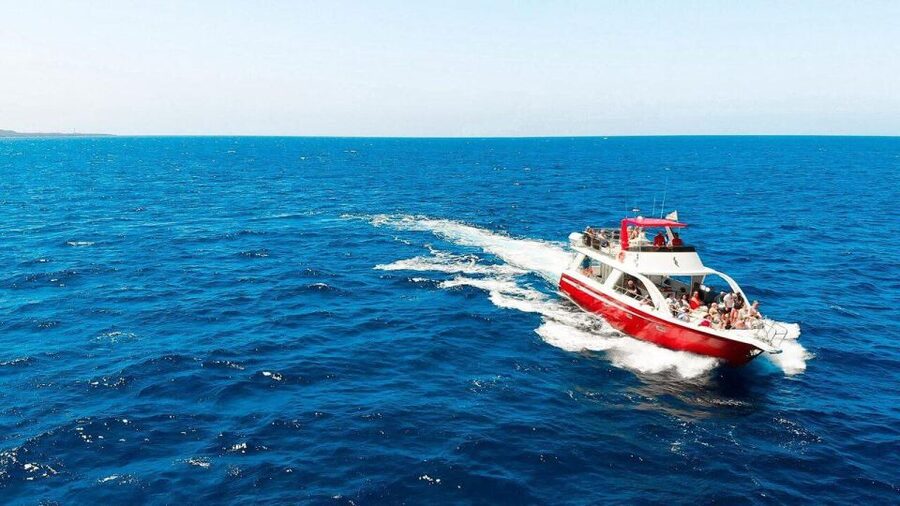 Los Cristianos: Eco Yacht Whale Watching Tour at Sunset - The first 30 minutes: leaving Los Cristianos behind