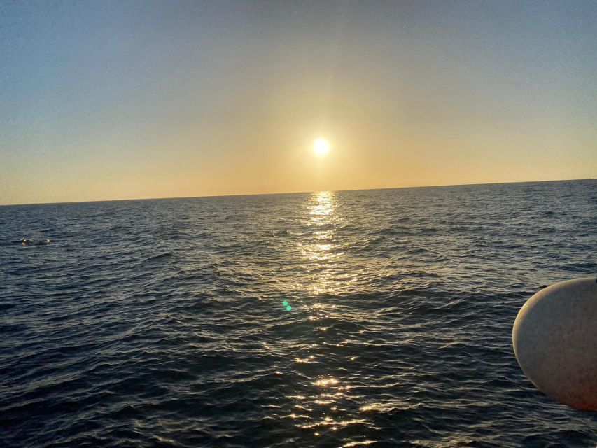 Los Cristianos: Eco Yacht Whale Watching Tour at Sunset - Who should book this experience