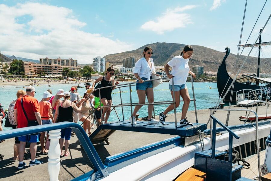 Los Cristianos Respectful No-Chase Whale and Dolphin Safari - Two hours of searching, watching, and learning
