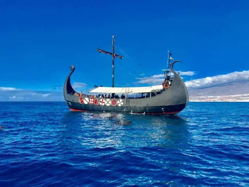 Los Cristianos: Viking Cruise Whales & Dolphins Watching - Key points to know before boarding