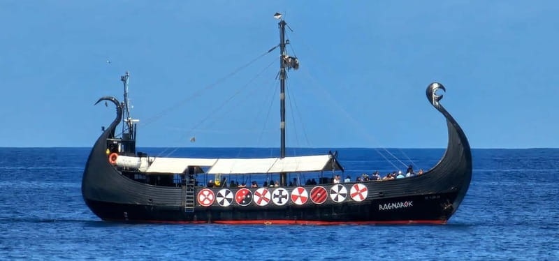 Los Cristianos: Whale Watching Cruise w/Swim Stop & Drinks - Should you book this Tenerife whale-watching cruise?