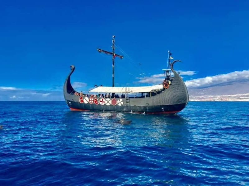 Los Cristianos: Whale Watching Cruise w/Swim Stop & Drinks - Looking for pilot whales between Tenerife and La Gomera