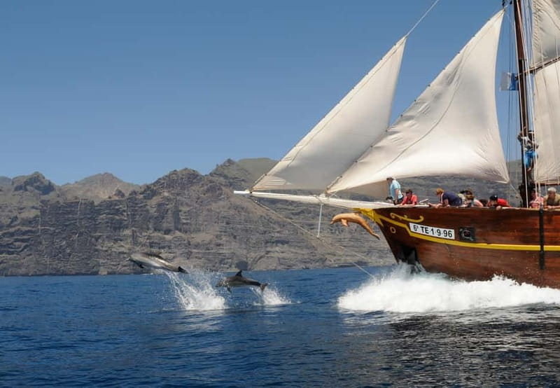 Los Gigantes: Dolphin & Whale Watching Tour on a Pirate Boat - Setting sail from Los Gigantes Harbor