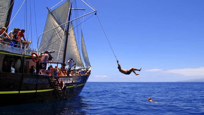 Los Gigantes: Dolphin & Whale Watching Tour on a Pirate Boat - Paella, fruit, and drinks on the three-hour trip