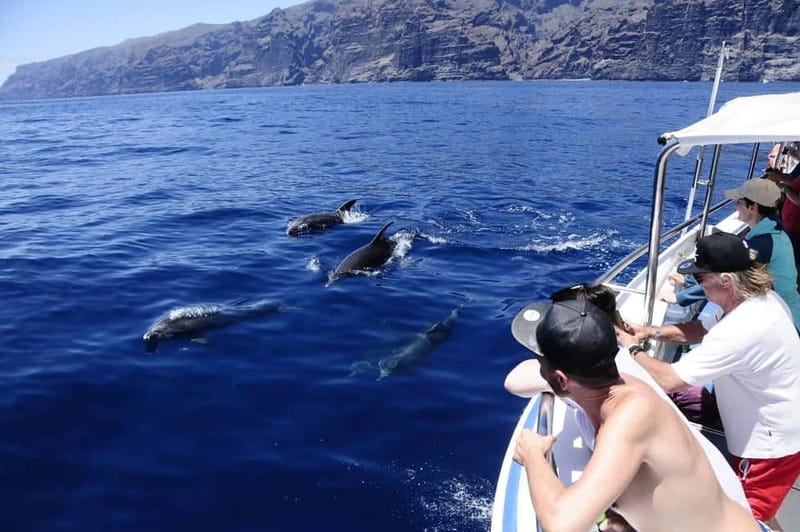 Los Gigantes: Whale or Dolphin Watching Tour and Swim in Masca - Why Los Gigantes is a strong place for whale watching