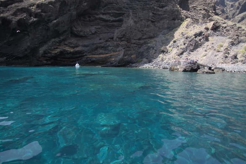 Los Gigantes: Whale or Dolphin Watching Tour and Swim in Masca - The run toward Masca Bay