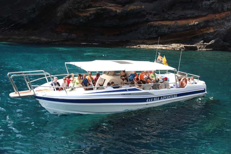 Los Gigantes: Whale or Dolphin Watching Tour and Swim in Masca - The boat ride from the Los Gigantes harbor