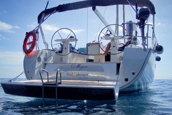 Los Gigantes Whale Watching Charter by Sail Boat - Timing, meeting point, and cancellation