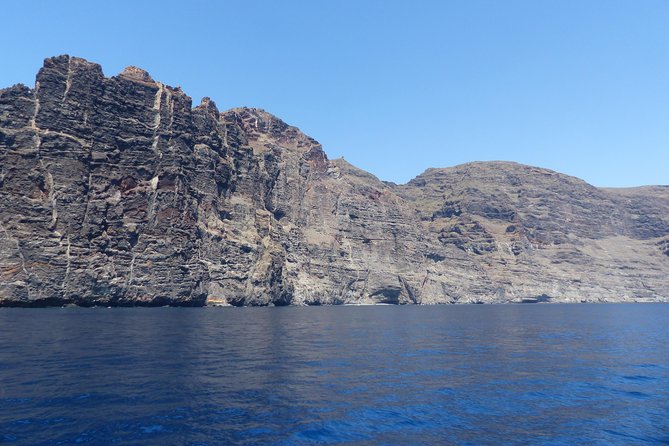 Los Gigantes Whale Watching Charter by Sail Boat - Should you book the Los Gigantes sailing trip?
