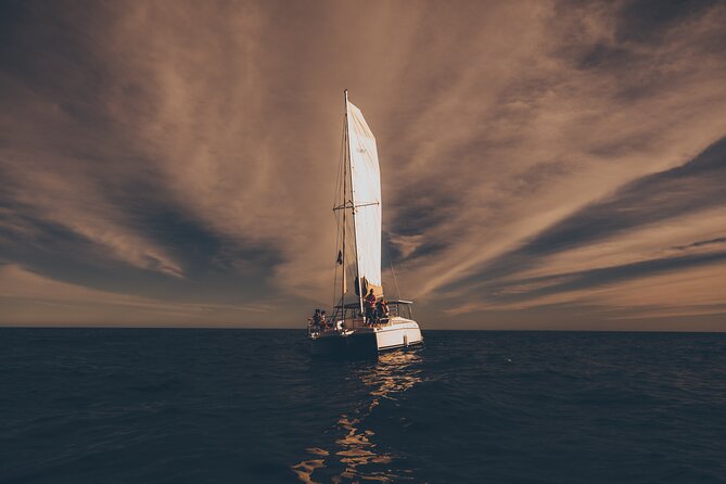 Luxury Whale Watch Cruise to The Arch Los Cabos - Why the small catamaran matters in Cabo