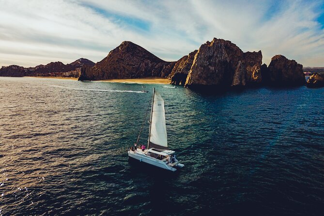 Luxury Whale Watch Cruise to The Arch Los Cabos - Who will enjoy this trip most