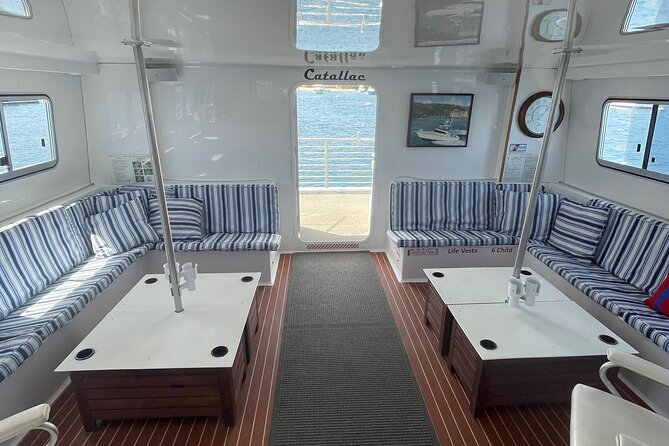 Luxury Whale Watching: Fewer People, Extra Speed, Expert Staff - Dolphins often steal the show