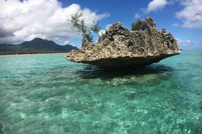 Lydia Boat Mauritius :Private boat tour:Whales&Dolphins encounter - Timing, comfort, and what to pack
