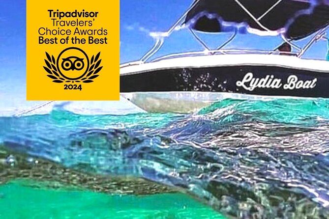 Lydia Boat Mauritius :Private boat tour:Whales&Dolphins encounter - Finding dolphins in open water