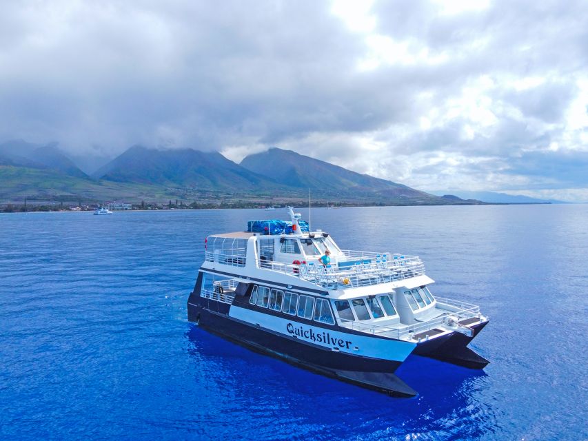 Ma'alaea Harbor: Whale Watching Tour Aboard Power Catamaran - Two hours on the water, from harbor to open bay