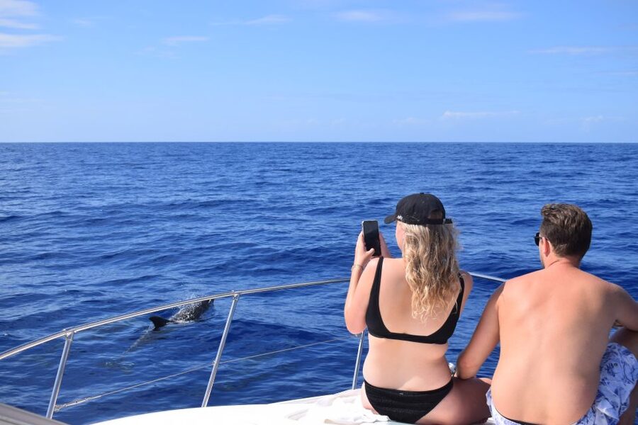 Madeira: 2.5-Hour Whale and Dolphin-Watching Cruise - Drinks, blankets, and the small details