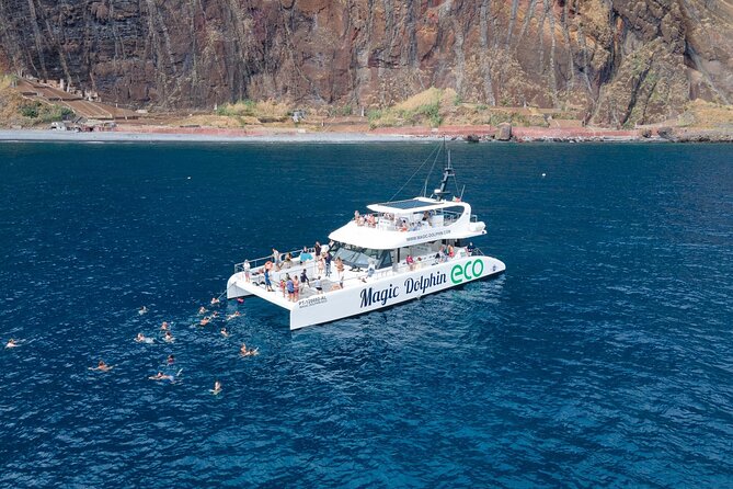 Madeira Dolphin and Whale Watching on a Ecological Catamaran - Key points to know before boarding