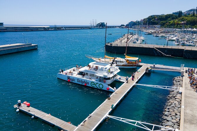 Madeira Dolphin and Whale Watching on a Ecological Catamaran - The strongest part: the crew and wildlife care