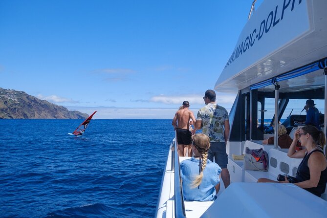 Madeira Dolphin and Whale Watching on a Ecological Catamaran - Group size and the value of $42.33