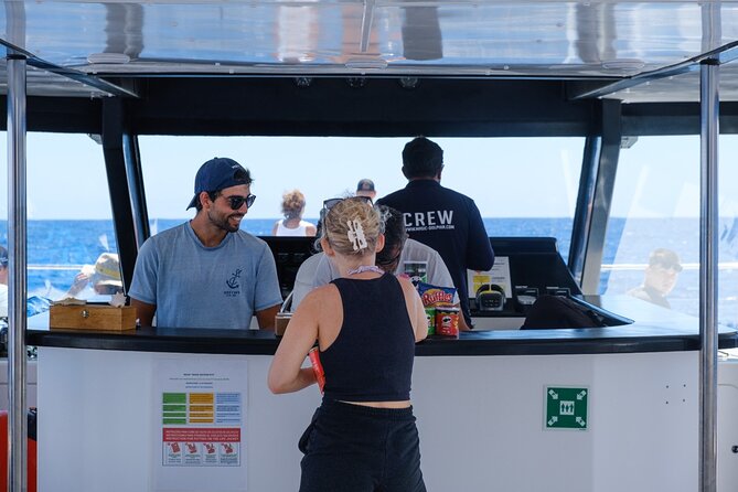 Madeira Dolphin and Whale Watching on a Ecological Catamaran - What the 2.5 to 3 hours feel like